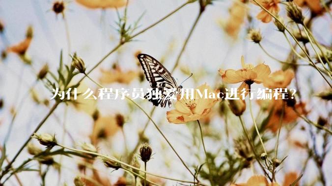 为什么程序员独爱用Mac进行编程？